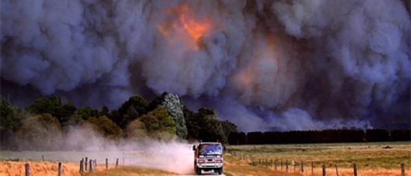 Taking the fuel out of bushfire risk 