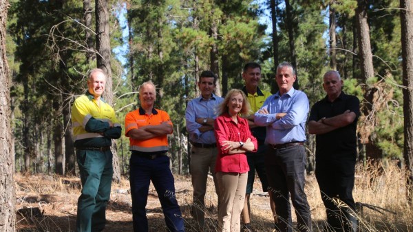 Funding boost for forest hub 