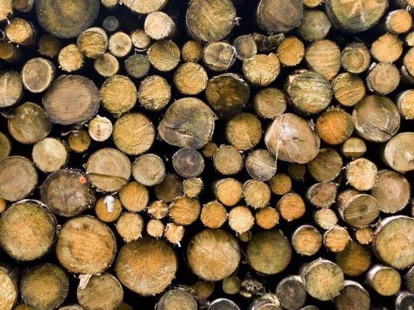 New green standard for Australian timber 