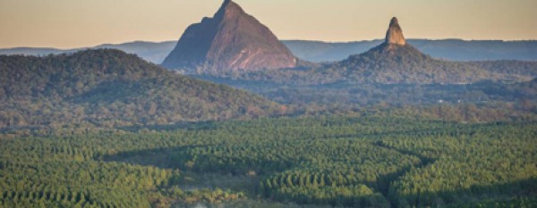 FSC forest certification standard made for Australia 