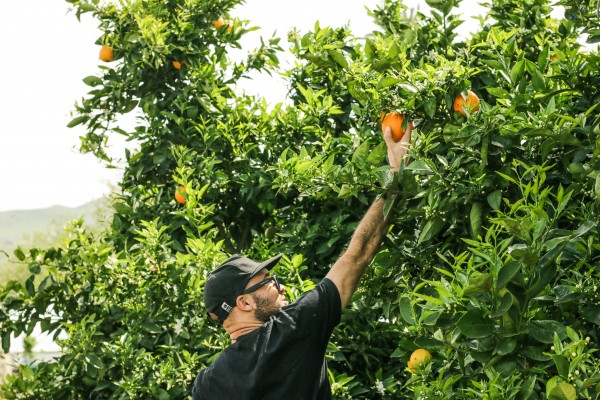 Boosting work opportunities for young Australians 