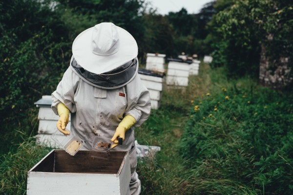 The Weekly Times: New Zealand gives up its fight for manuka honey name in EU, UK 